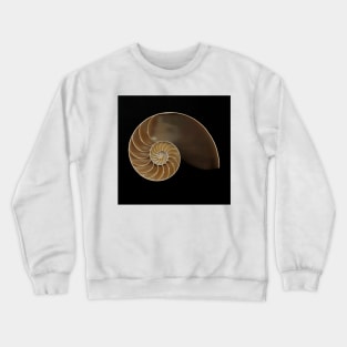 Chambered nautilus shell Crewneck Sweatshirt